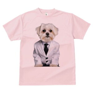 }`[Y TVc fB[X t@  t  vg JWA 킢 lԗp h ̃fUC ʔ X[c }`[Y lN^C