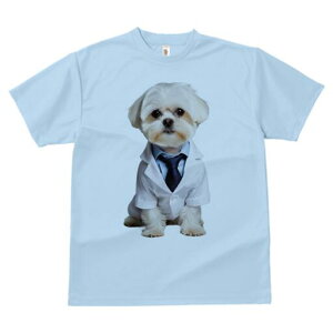 }`[Y TVc Y LbY t@  t  vg JWA 킢 lԗp h ̃fUC ʔ  }`[Y  lN^C f@