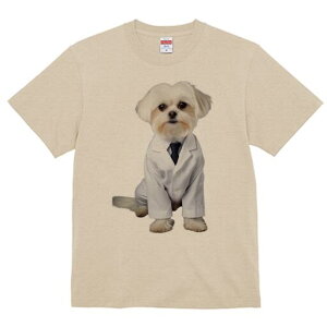 }`[Y TVc fB[X t@  t  vg JWA 킢 lԗp h ̃fUC ʔ  }`[Y lN^C