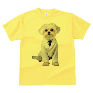 }`[Y TVc Y LbY t@  t  vg JWA 킢 lԗp h ̃fUC ʔ  }`[Y lN^C