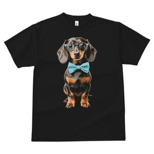 _bNXth TVc fB[X t@  t  vg JWA 킢 lԗp h ̃fUC ʔ Kl _bNXth lN^C