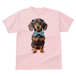 _bNXth TVc Y LbY t@  t  vg JWA 킢 lԗp h ̃fUC ʔ Kl _bNXth lN^C