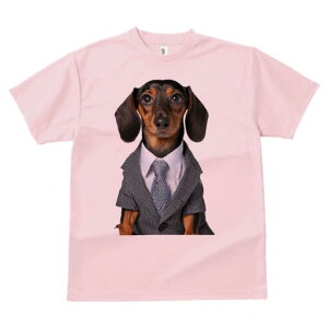 _bNXth TVc fB[X t@  t  vg JWA 킢 lԗp h ̃fUC ʔ X[c _bNXth lN^C CVc