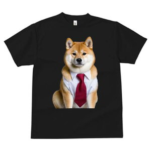 Č TVc fB[X t@  t  vg JWA 킢 lԗp h ̃fUC ʔ lN^C Č Vc