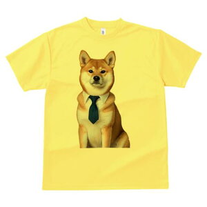 Č TVc fB[X t@  t  vg JWA 킢 lԗp h ̃fUC ʔ lN^C Č CVc