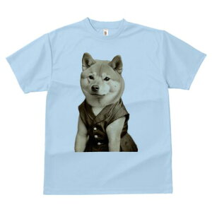 Č TVc fB[X t@  t  vg JWA 킢 lԗp h ̃fUC ʔ g Č 