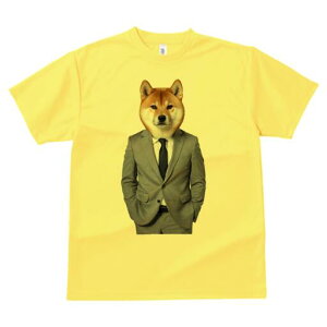 Č TVc fB[X t@  t  vg JWA 킢 lԗp h ̃fUC ʔ X[c Č lN^C