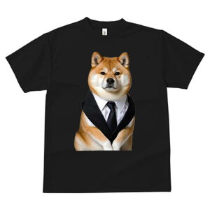 Č TVc fB[X t@  t  vg JWA 킢 lԗp h ̃fUC ʔ X[c Č lN^C rWlX