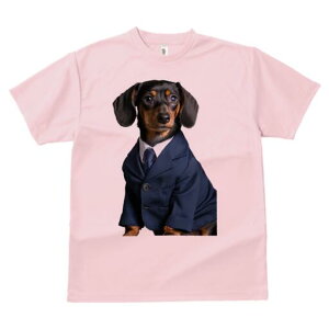 _bNXth TVc fB[X t@  t  vg JWA 킢 lԗp h ̃fUC ʔ X[c _bNXth lN^C CVc