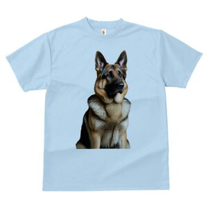 W[}VFp[h TVc fB[X t@  t  vg JWA 킢 lԗp h ̃fUC ʔ W[}VFp[h