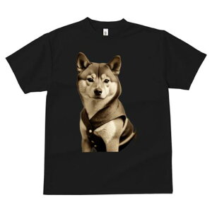 Č TVc fB[X t@  t  vg JWA 킢 lԗp h ̃fUC ʔ Č