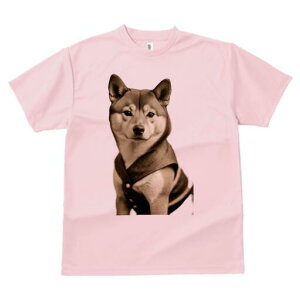 Č TVc fB[X t@  t  vg JWA 킢 lԗp h ̃fUC ʔ Č