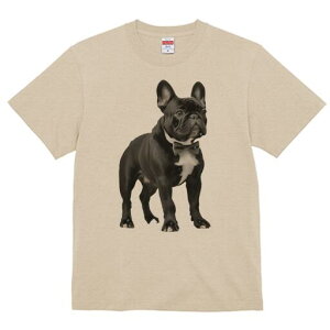 t`uhbO TVc fB[X t@  t  vg JWA 킢 lԗp h ̃fUC ʔ lN^C t`uhbO