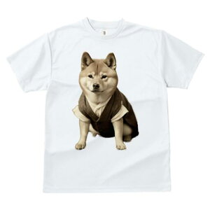 Č TVc fB[X t@  t  vg JWA 킢 lԗp h ̃fUC ʔ xXg Č Vc