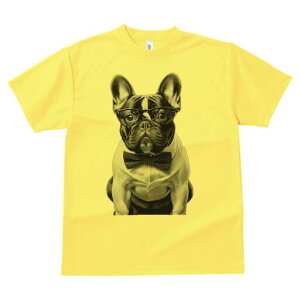 t`uhbO TVc fB[X t@  t  vg JWA 킢 lԗp h ̃fUC ʔ lN^C t`uhbO ዾ Vc