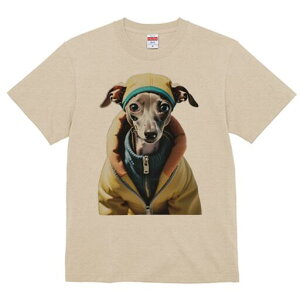 C^AO[nEh TVc fB[X t@  t  vg JWA 킢 lԗp h ̃fUC ʔ Xq C^AO[nEh WPbg