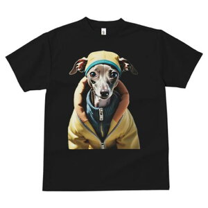 C^AO[nEh TVc fB[X t@  t  vg JWA 킢 lԗp h ̃fUC ʔ Xq C^AO[nEh WPbg