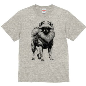 |jA TVc fB[X t@  t  vg JWA 킢 lԗp h ̃fUC ʔ TOX |jA n[lX