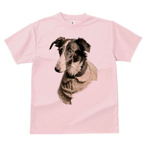 {]C TVc fB[X t@  t  vg JWA 킢 lԗp h ̃fUC ʔ ݕtVc {]C [X