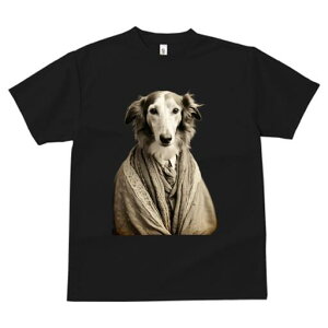 {]C TVc fB[X t@  t  vg JWA 킢 lԗp h ̃fUC ʔ X[c {]C V[ [X