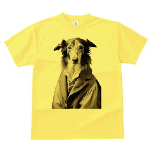 {]C TVc fB[X t@  t  vg JWA 킢 lԗp h ̃fUC ʔ WPbg {]C Vc