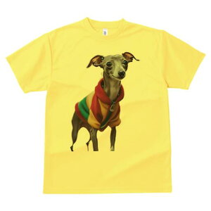 C^AO[nEh TVc fB[X t@  t  vg JWA 킢 lԗp h ̃fUC ʔ Z[^[ C^AO[nEh Jt