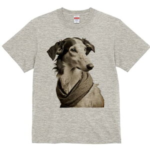 {]C TVc fB[X t@  t  vg JWA 킢 lԗp h ̃fUC ʔ XJ[t {]C