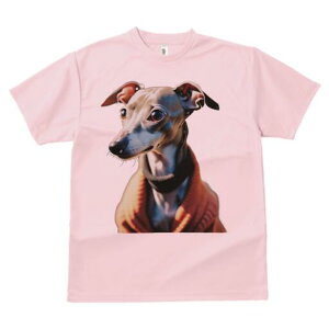 C^AO[nEh TVc fB[X t@  t  vg JWA 킢 lԗp h ̃fUC ʔ Z[^[ C^AO[nEh 