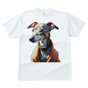 C^AO[nEh TVc fB[X t@  t  vg JWA 킢 lԗp h ̃fUC ʔ Z[^[ C^AO[nEh 