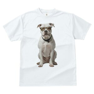 AJuhbO TVc Y LbY t@  t  vg JWA 킢 lԗp h ̃fUC ʔ Kl AJuhbO 