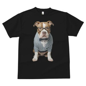 AJsbgueA TVc Y LbY t@  t  vg JWA 킢 lԗp h ̃fUC ʔ Kl AJsbgueA 