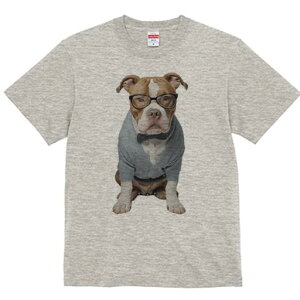 AJsbgueA TVc Y LbY t@  t  vg JWA 킢 lԗp h ̃fUC ʔ Kl AJsbgueA 