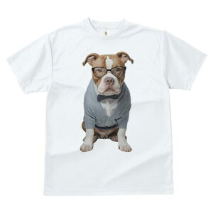 AJsbgueA TVc Y LbY t@  t  vg JWA 킢 lԗp h ̃fUC ʔ Kl AJsbgueA 