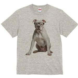 AJuhbO TVc Y LbY t@  t  vg JWA 킢 lԗp h ̃fUC ʔ Kl AJuhbO mI CeW