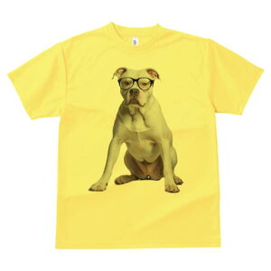 AJuhbO TVc Y LbY t@  t  vg JWA 킢 lԗp h ̃fUC ʔ Kl AJuhbO mI CeW