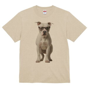 AJuhbO TVc fB[X t@  t  vg JWA 킢 lԗp h ̃fUC ʔ Kl AJuhbO