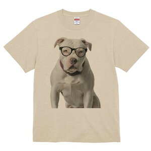 AJuhbO TVc fB[X t@  t  vg JWA 킢 lԗp h ̃fUC ʔ Kl AJuhbO 