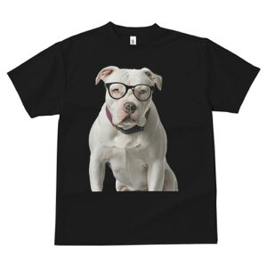 AJuhbO TVc Y LbY t@  t  vg JWA 킢 lԗp h ̃fUC ʔ Kl AJuhbO 