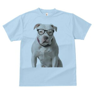 AJuhbO TVc fB[X t@  t  vg JWA 킢 lԗp h ̃fUC ʔ Kl AJuhbO 