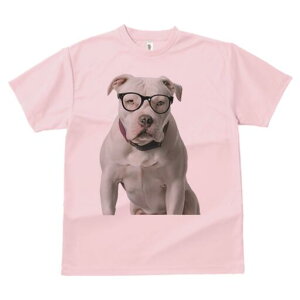 AJuhbO TVc Y LbY t@  t  vg JWA 킢 lԗp h ̃fUC ʔ Kl AJuhbO 