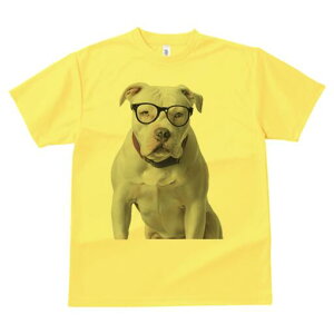 AJuhbO TVc fB[X t@  t  vg JWA 킢 lԗp h ̃fUC ʔ Kl AJuhbO 