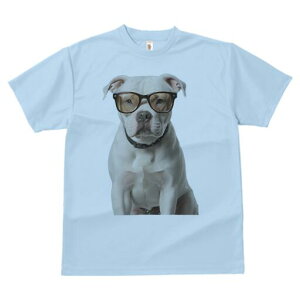 AJuhbO TVc fB[X t@  t  vg JWA 킢 lԗp h ̃fUC ʔ Kl AJuhbO 