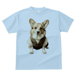 R[M[ TVc fB[X t@  t  vg JWA 킢 lԗp h ̃fUC ʔ xXg R[M[ Vc