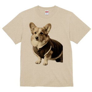 R[M[ TVc fB[X t@  t  vg JWA 킢 lԗp h ̃fUC ʔ g R[M[ 