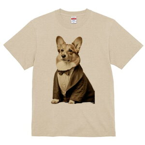 R[M[ TVc fB[X t@  t  vg JWA 킢 lԗp h ̃fUC ʔ ^LV[h R[M[ lN^C 