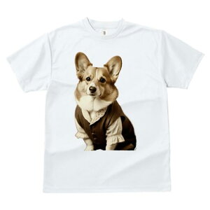 R[M[ TVc fB[X t@  t  vg JWA 킢 lԗp h ̃fUC ʔ Ȃ R[M[