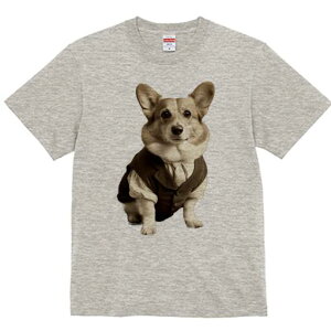 R[M[ TVc fB[X t@  t  vg JWA 킢 lԗp h ̃fUC ʔ am R[M[ X[c tH[}