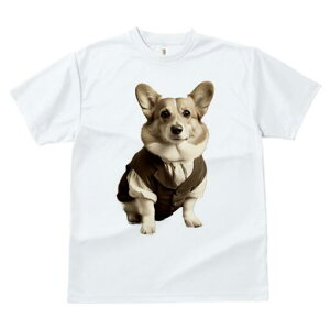 R[M[ TVc fB[X t@  t  vg JWA 킢 lԗp h ̃fUC ʔ am R[M[ X[c tH[}