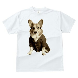 R[M[ TVc fB[X t@  t  vg JWA 킢 lԗp h ̃fUC ʔ X[c R[M[ tH[}