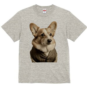 R[M[ TVc fB[X t@  t  vg JWA 킢 lԗp h ̃fUC ʔ X[c R[M[ 